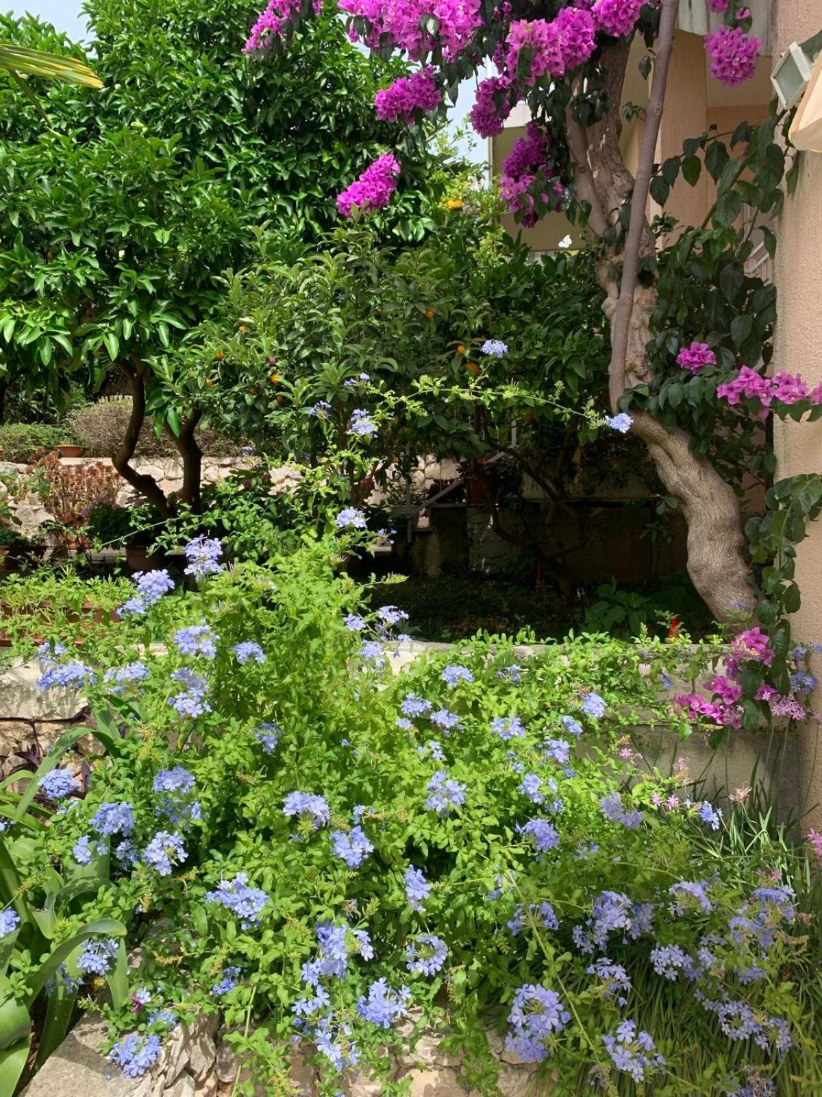 טרוגיר Villa Calypso מראה חיצוני תמונה
